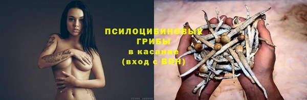 прущие крисы Наволоки