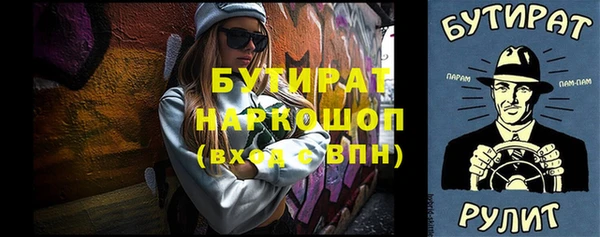 индика Новозыбков