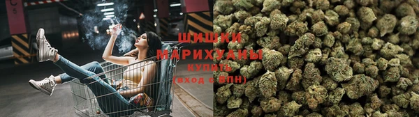 крисы Дмитров